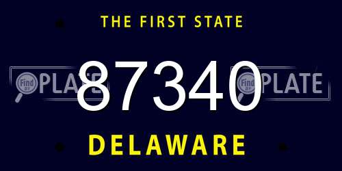 87340 Delaware License Plate