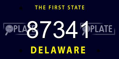 87341 Delaware License Plate