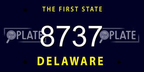 8737 Delaware License Plate