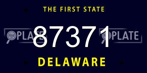 87371 Delaware License Plate