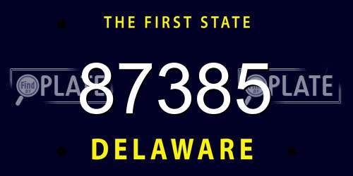 87385 Delaware License Plate