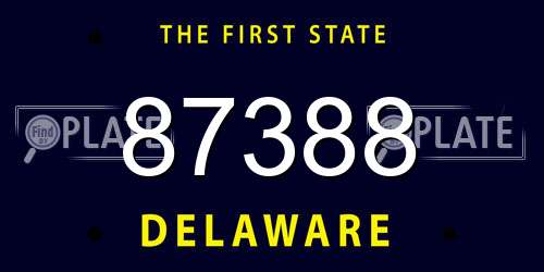 87388 Delaware License Plate