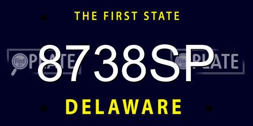 8738SP Delaware License Plate