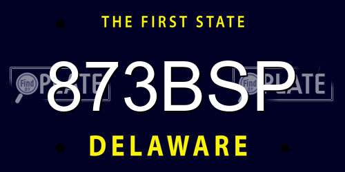 873BSP Delaware License Plate