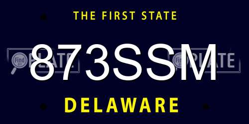 873SSM Delaware License Plate