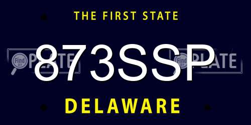 873SSP Delaware License Plate
