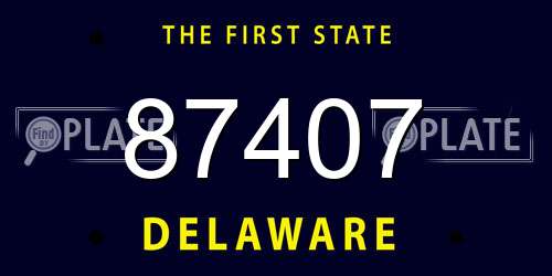 87407 Delaware License Plate