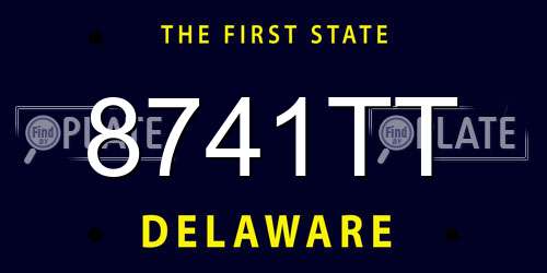 8741TT Delaware License Plate