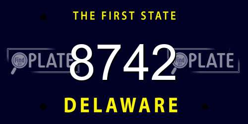 8742 Delaware License Plate