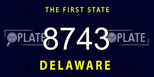 8743 Delaware License Plate