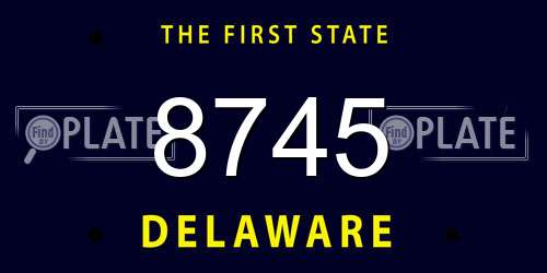 8745 Delaware License Plate