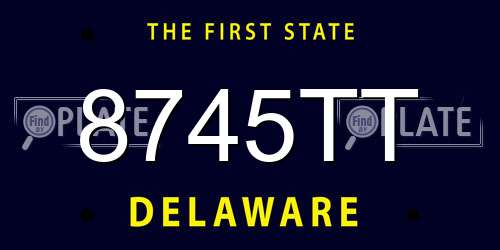 8745TT Delaware License Plate