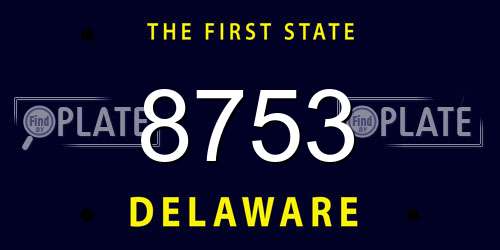 8753 Delaware License Plate