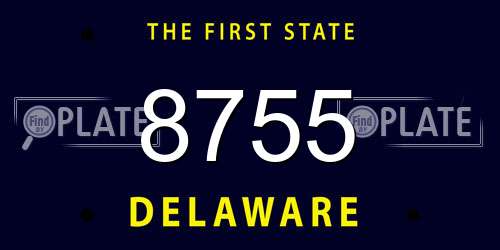8755 Delaware License Plate