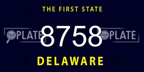 8758 Delaware License Plate