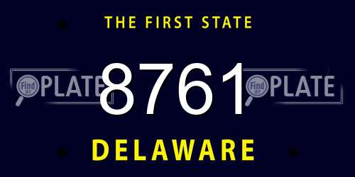 8761 Delaware License Plate