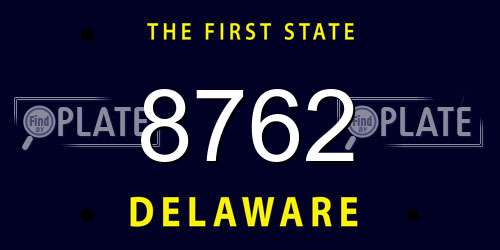 8762 Delaware License Plate