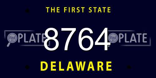 8764 Delaware License Plate