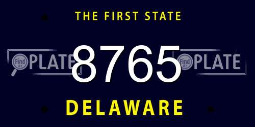 8765 Delaware License Plate