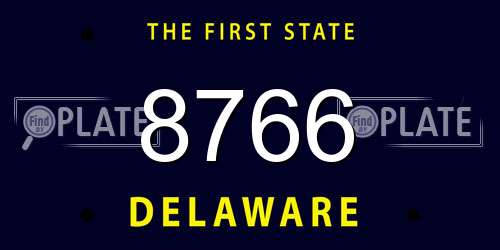 8766 Delaware License Plate