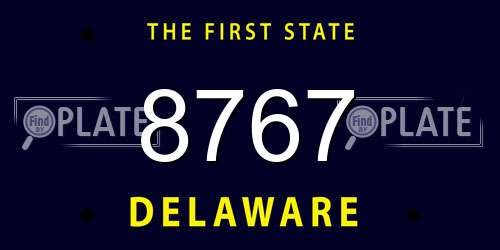 8767 Delaware License Plate