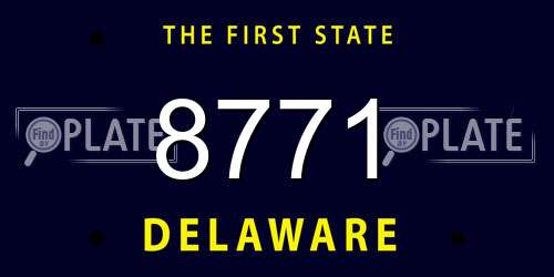 8771 Delaware License Plate