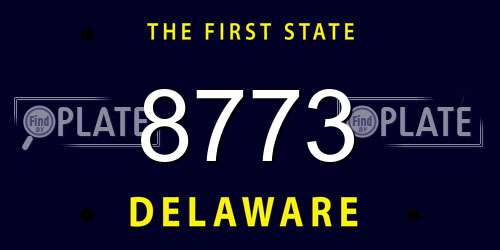 8773 Delaware License Plate