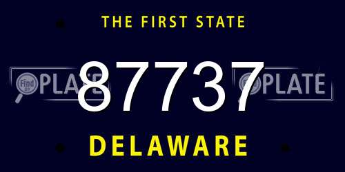87737 Delaware License Plate