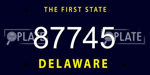 87745 Delaware License Plate