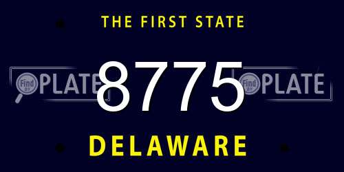 8775 Delaware License Plate