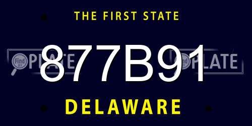 877B91 Delaware License Plate