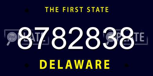 8782838 Delaware License Plate