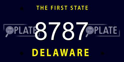 8787 Delaware License Plate