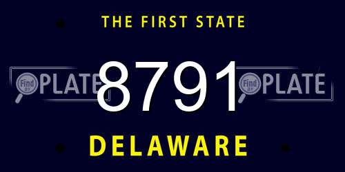 8791 Delaware License Plate