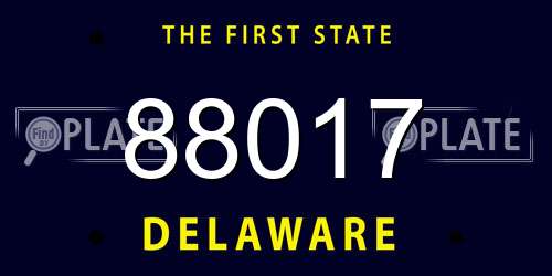88017 Delaware License Plate