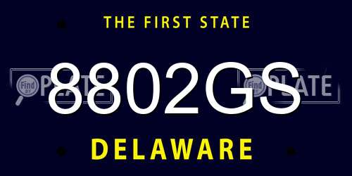 8802GS Delaware License Plate