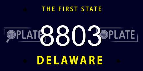 8803 Delaware License Plate