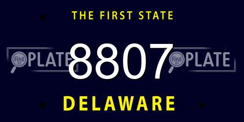 8807 Delaware License Plate