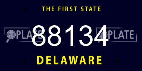 88134 Delaware License Plate