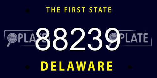 88239 Delaware License Plate