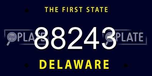 88243 Delaware License Plate