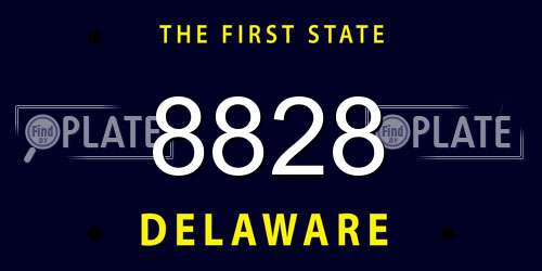 8828 Delaware License Plate