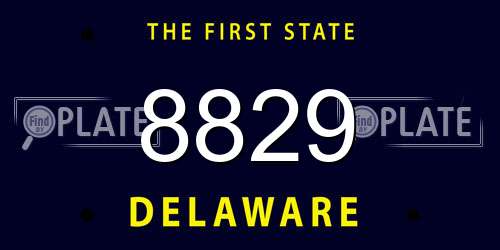 8829 Delaware License Plate