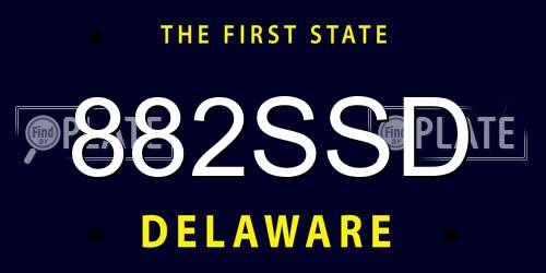 882SSD Delaware License Plate