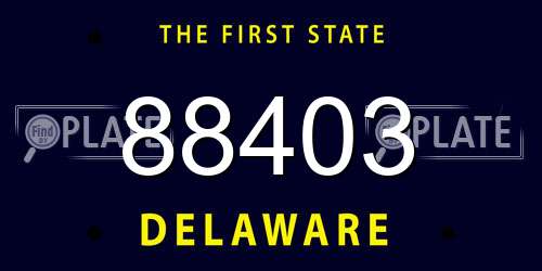 88403 Delaware License Plate