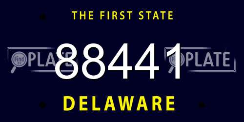 88441 Delaware License Plate