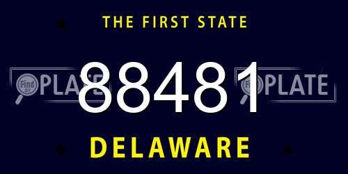 88481 Delaware License Plate