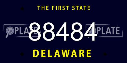 88484 Delaware License Plate