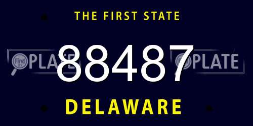 88487 Delaware License Plate
