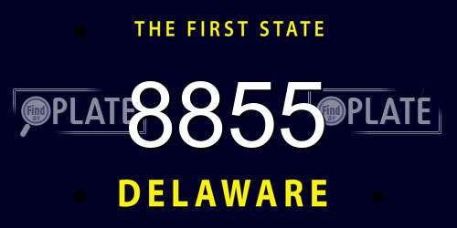 8855 Delaware License Plate